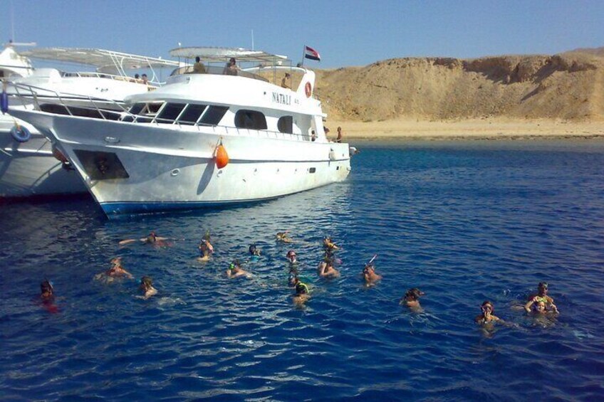 Tiran Island Full Day Snorkeling Sea Trip & intro dive 15 min - Sharm El Sheikh