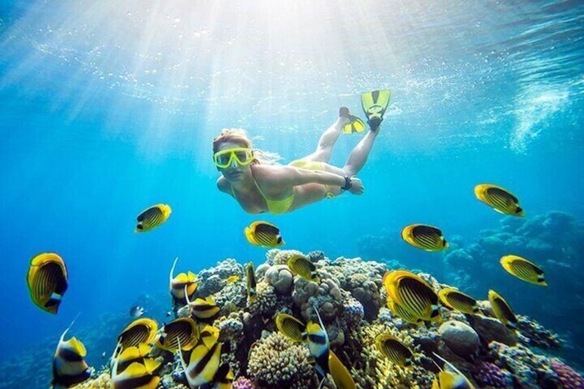 Tiran Island Full Day Snorkeling & intro dive 15 min - Sharm El Sheikh