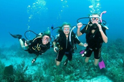 Scuba Diving PADI Course, Diving licence Fees - Sharm El Sheikh