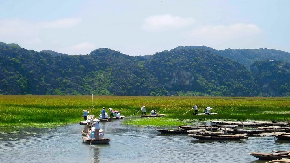 Row of boats with passengers near Ninh Binh