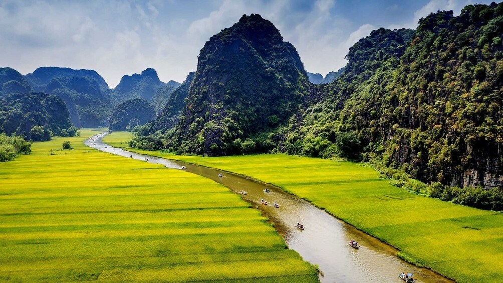 River boats near Ninh Binh