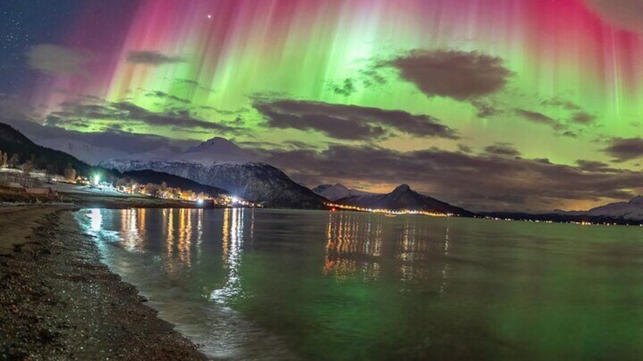 Northern Lights Chase minibus, portraits, toilet, meal, guarantee