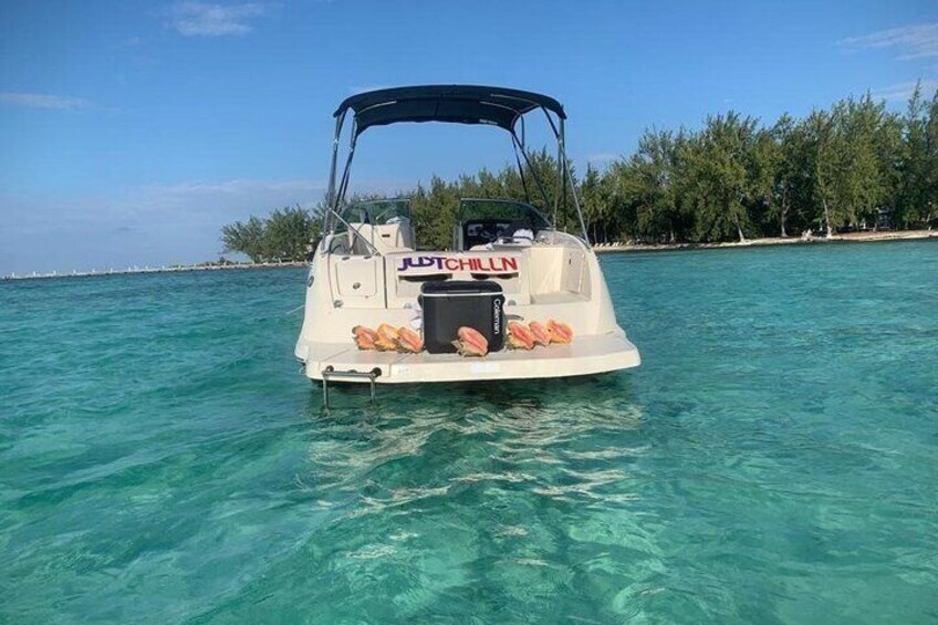 Private Charter - Stingray City, Starfish Point & Rum Point Snorkelling