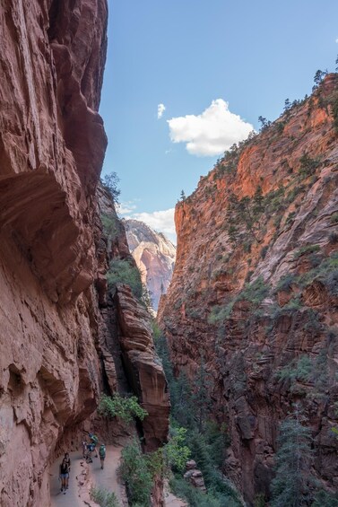 Zion National Park
