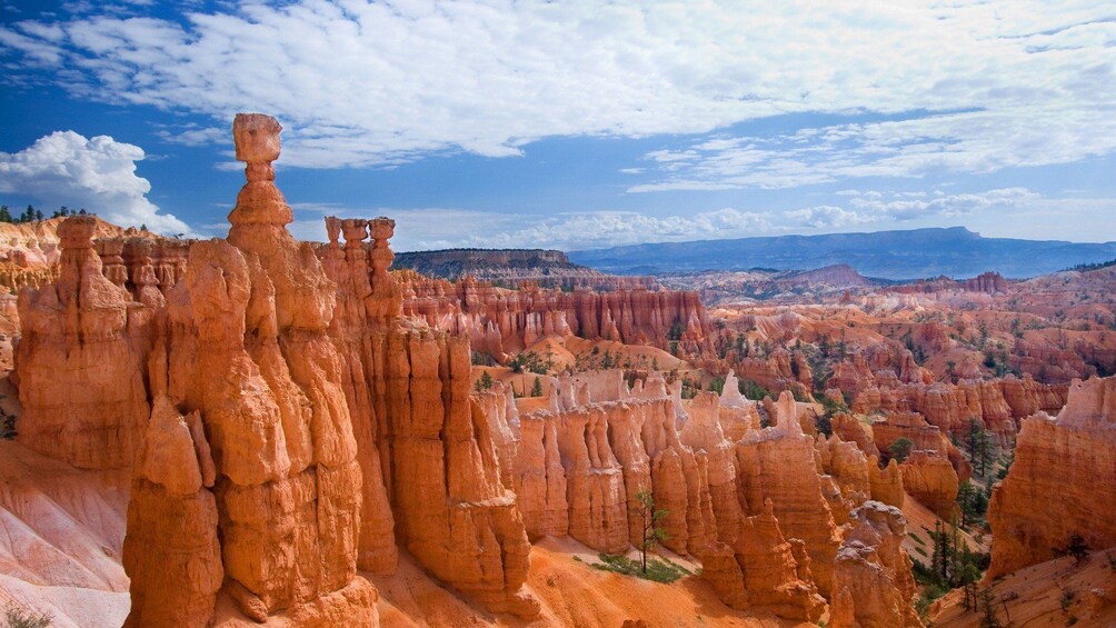 Bryce Canyon National Park at day time