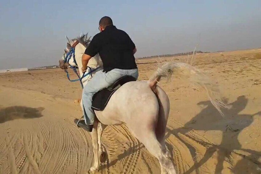 Horse Riding Adventure Sharm El Sheikh 