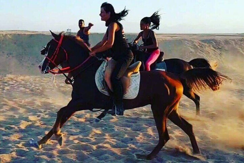 Horse Riding Adventure Sharm El Sheikh 