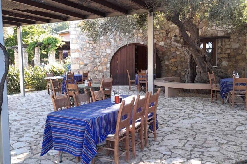 Private Manousakis Winery and Vineyard Tour in Crete