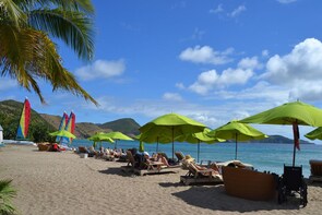 Caribbean Beach Delight Half-Day Tour