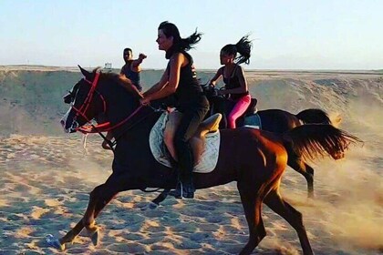 Horse Ride & Egyptian Show with Bedouin Dinner - Sharm El Sheikh