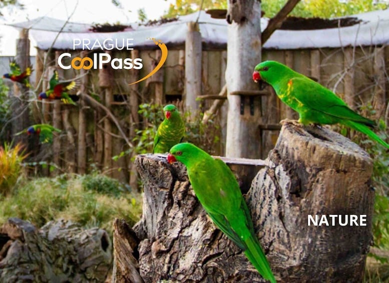 Picture 14 for Activity Prague: CoolPass with Access to 70+ Attractions