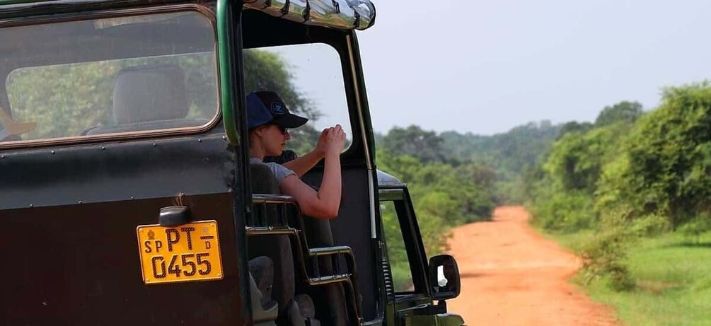 Picture 3 for Activity Udawalawa: Udawalawa National Park Safari Tour