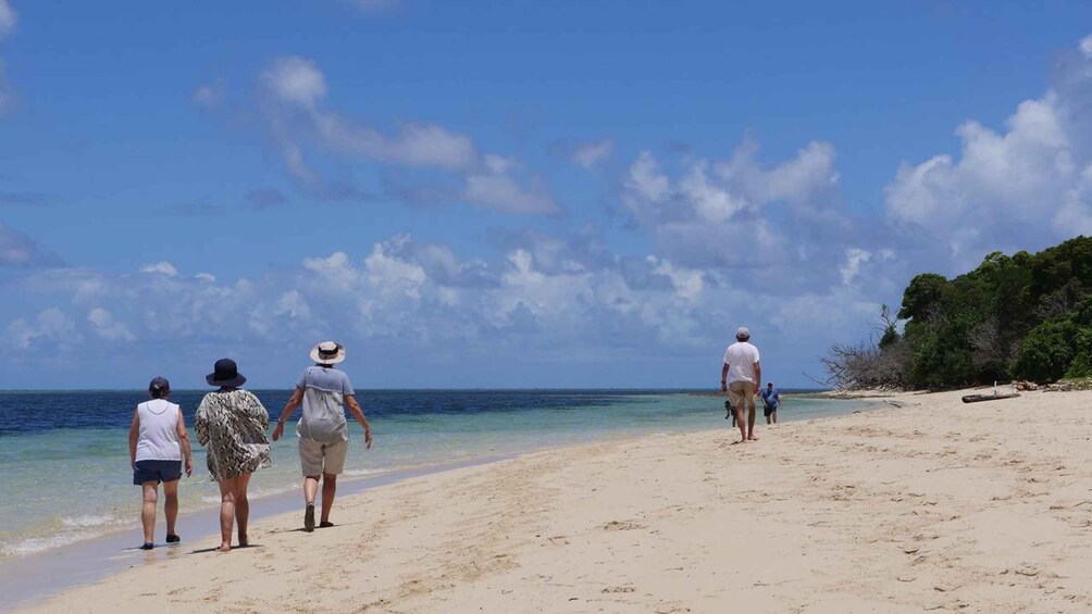 Picture 15 for Activity Cairns: Sail Great Barrier Reef & Green Island Tour, 25 pax