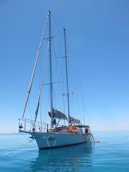 Picture 14 for Activity Cairns: Sail Great Barrier Reef & Green Island Tour, 25 pax
