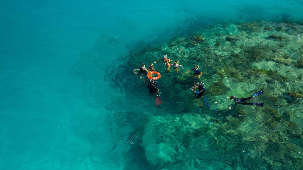 Picture 12 for Activity Cairns: Sail Great Barrier Reef & Green Island Tour, 25 pax