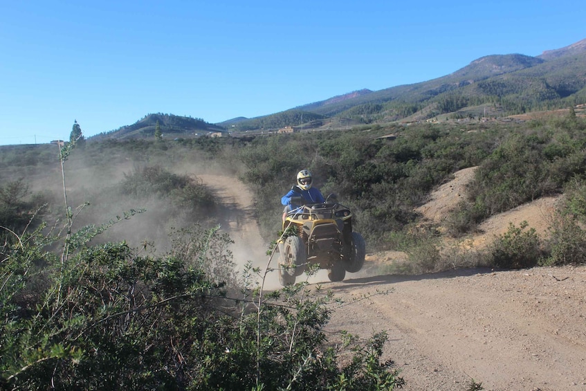 Picture 3 for Activity Tenerife: Quad Bike Off-Road Adventure