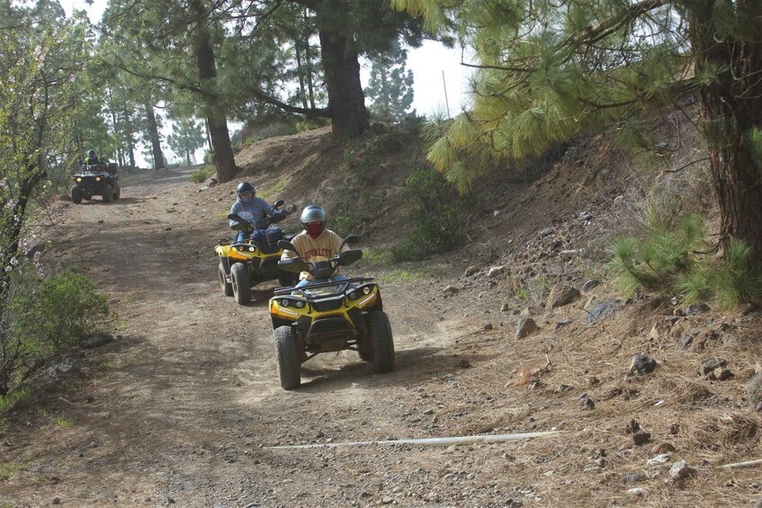 Picture 2 for Activity Tenerife: Quad Bike Off-Road Adventure