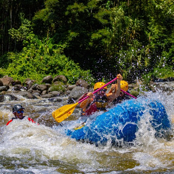 Picture 5 for Activity Arenal: Rafting Sarapiqui River Day Tour - Class II-III