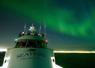 Reykjavik: Northern Lights Luxury Yacht Tour