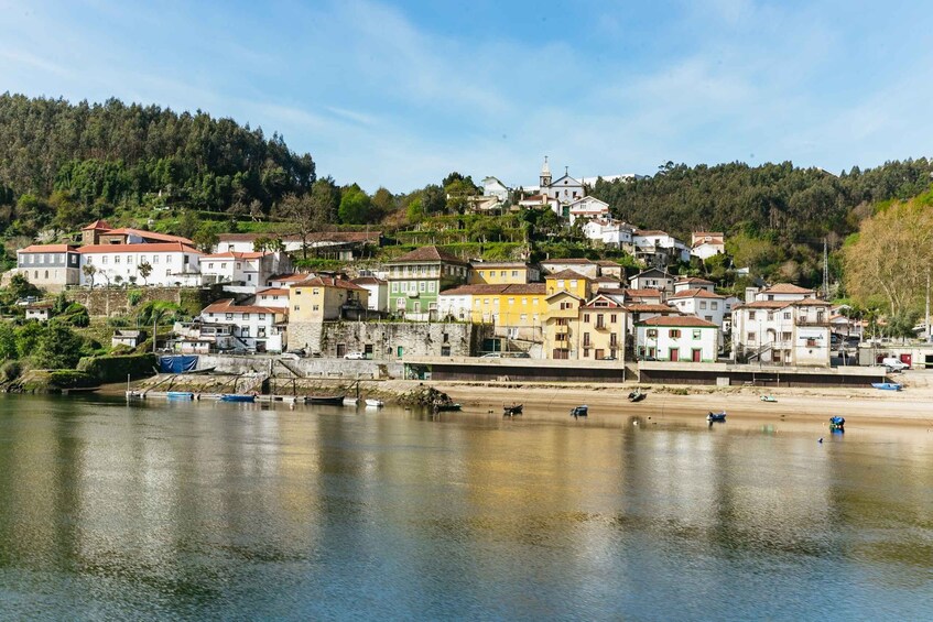 Picture 5 for Activity From Porto: Douro River Cruise to Régua with Lunch