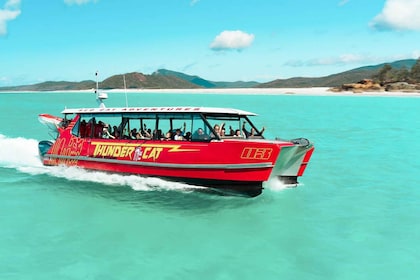 Airlie Beach: Whitehaven Full-Day Eco-Cruise with Buffet