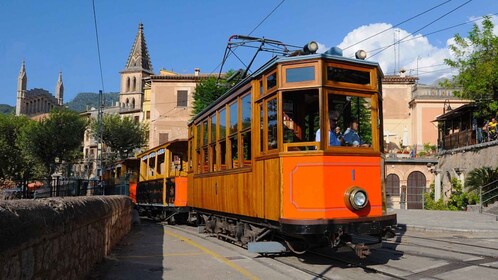 Palma: Heldagstur til Tramuntana med Sóller-tog og lunsj