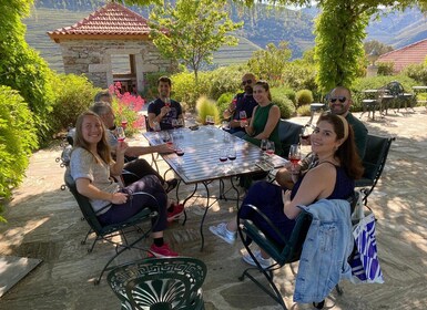 Depuis Porto : Vallée du Douro avec 2 vignobles, déjeuner et bateau excursi...