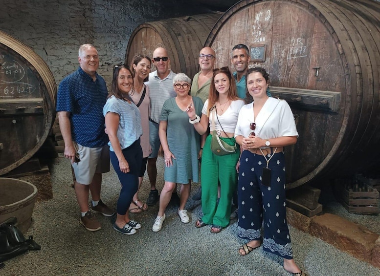 Picture 18 for Activity Porto: Douro Valley Winery Tour w/ Tastings, Cruise, & Lunch