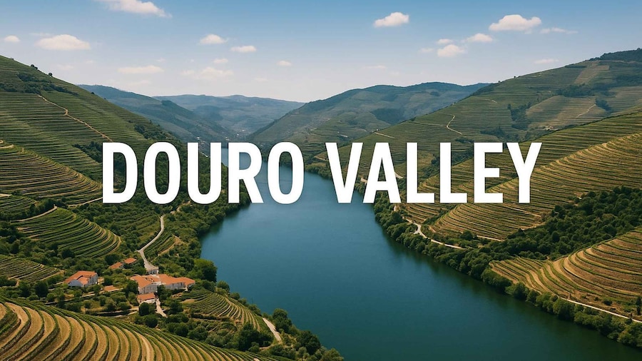 Porto: Douro Valley with Small Wineries, Lunch and Boat Tour