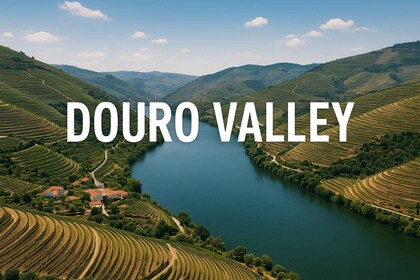 Porto: Douro Valley proeverijen van ambachtelijke wijn, lunch en boottocht