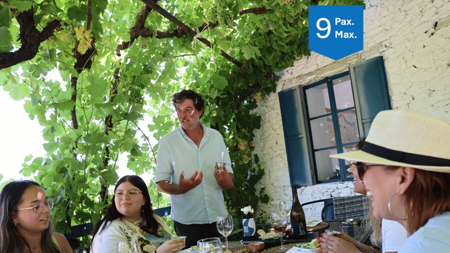 From Porto: Douro Valley with Lunch at a Winery & Boat Tour