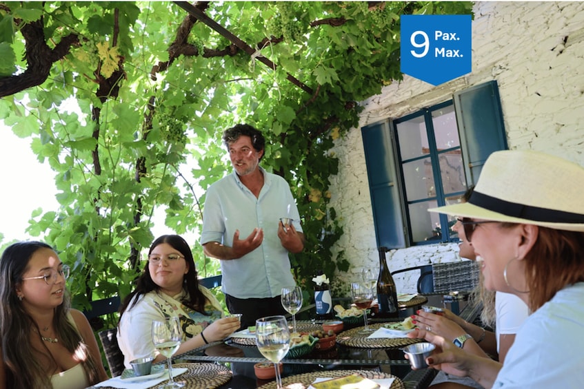 From Porto: Douro Valley with Lunch at a Winery & Boat Tour