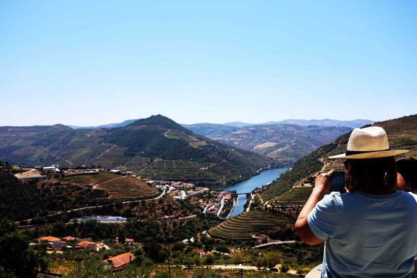 Picture 34 for Activity From Porto: Douro Valley with 2 Wineries, Lunch & Boat Tour