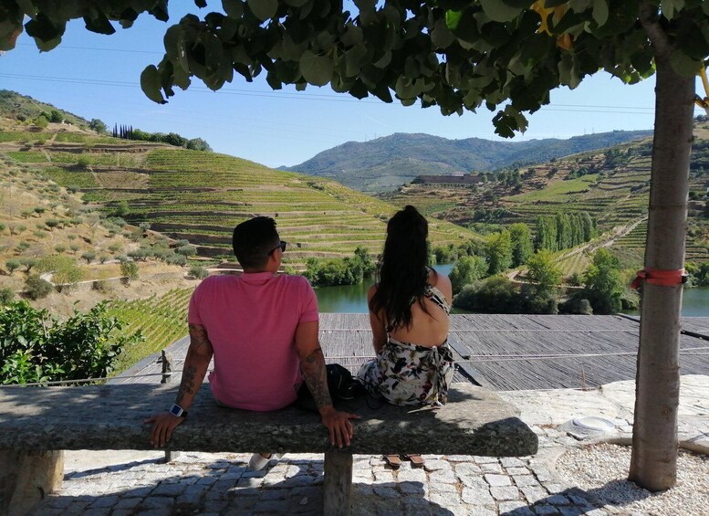 Picture 16 for Activity From Porto: Douro Valley with 2 Wineries, Lunch & Boat Tour