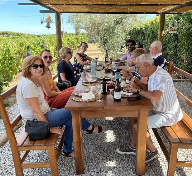 Picture 3 for Activity From Porto: Douro Valley with 2 Wineries, Lunch & Boat Tour