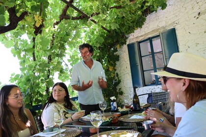 Porto : Vallée du Douro avec dégustation de vin, déjeuner et bateau excursi...