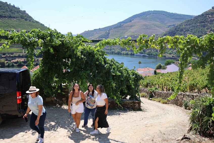 Picture 36 for Activity From Porto: Douro Valley with 2 Wineries, Lunch & Boat Tour