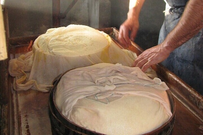 Tour of the Cheese and Wine Routes in Cammarata