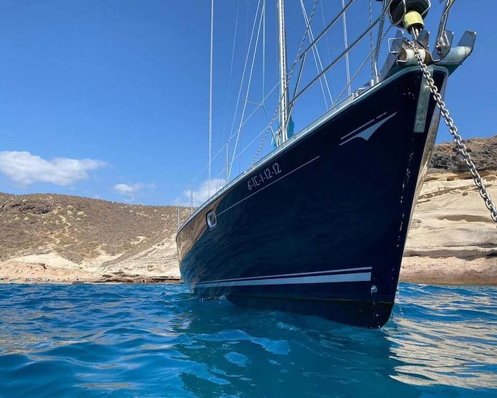 Picture 6 for Activity Tenerife: Sailing Excursion with Whale and Dolphin Watching