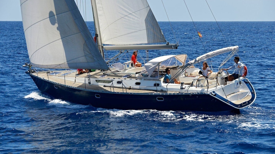 Tenerife: Sailing Excursion with Whale and Dolphin Watching