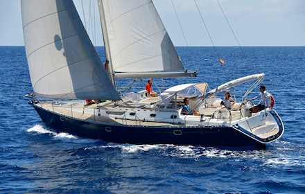 Tenerife: excursión en velero con avistamiento de ballenas y delfines