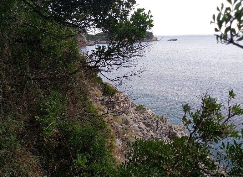 Picture 8 for Activity Corfu: Hiking in Olive Groves,Village,Sunset,with Swim Stop