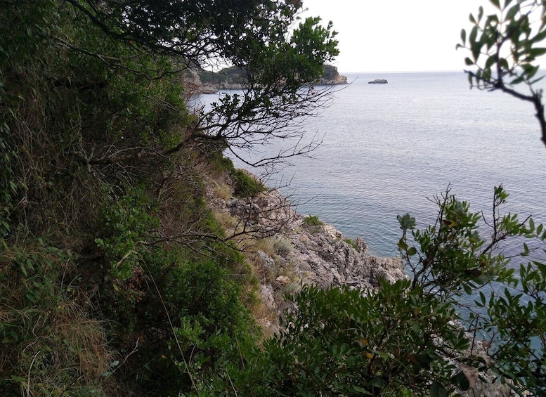Picture 8 for Activity Corfu: Hiking in Olive Groves,Village,Sunset,with Swim Stop