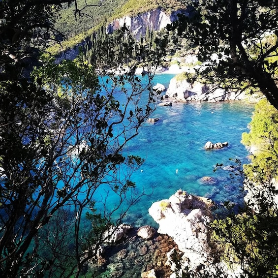 Corfu: Nature Trek Through Olive Groves with Swim Stop