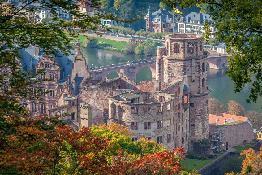 Picture 2 for Activity From Frankfurt: Heidelberg, Castle and Old City Guided Tour