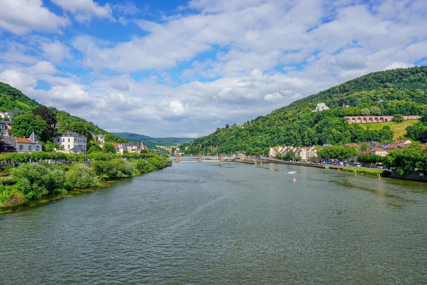 Picture 6 for Activity From Frankfurt: Heidelberg, Castle and Old City Guided Tour