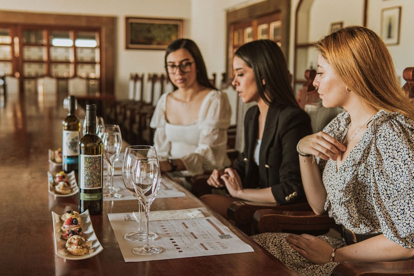 Freixenet Cellar Tour with Wine Tasting & Visit to Peña de Bernal