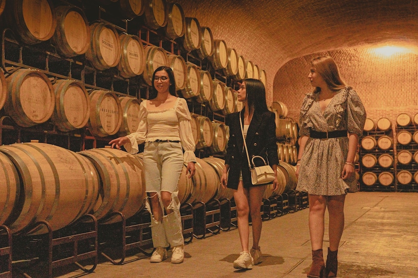Freixenet Cellar Tour with Wine Tasting & Visit to Peña de Bernal