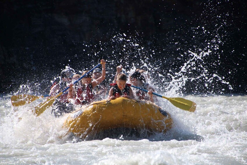 Picture 9 for Activity Athabasca Falls: Class 2 White Water Rafting Adventure