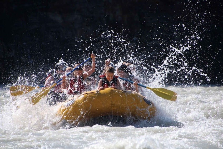 Picture 9 for Activity Athabasca Falls: Class 2 White Water Rafting Adventure